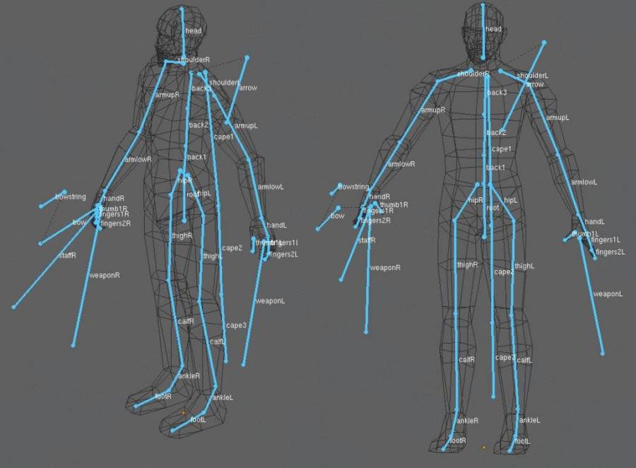 bones_medium.jpg